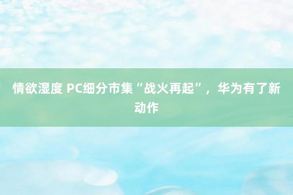 情欲湿度 PC细分市集“战火再起”，华为有了新动作