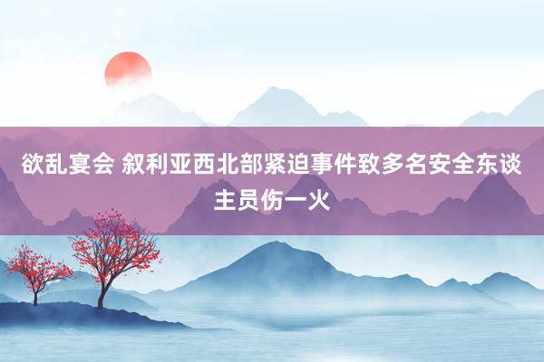 欲乱宴会 叙利亚西北部紧迫事件致多名安全东谈主员伤一火