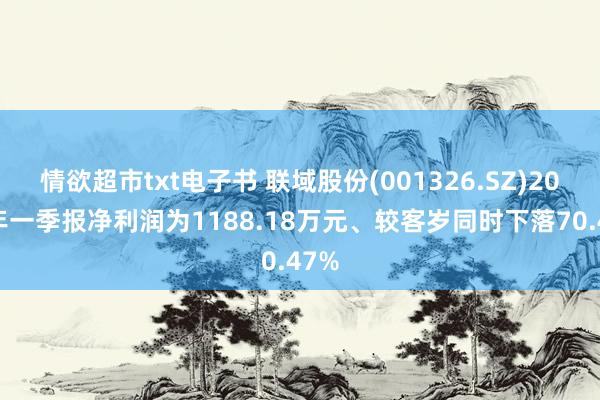 情欲超市txt电子书 联域股份(001326.SZ)2025年一季报净利润为1188.18万元、较客岁同时下落70.47%