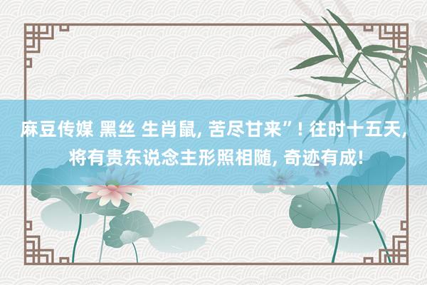 麻豆传媒 黑丝 生肖鼠， 苦尽甘来”! 往时十五天， 将有贵东说念主形照相随， 奇迹有成!