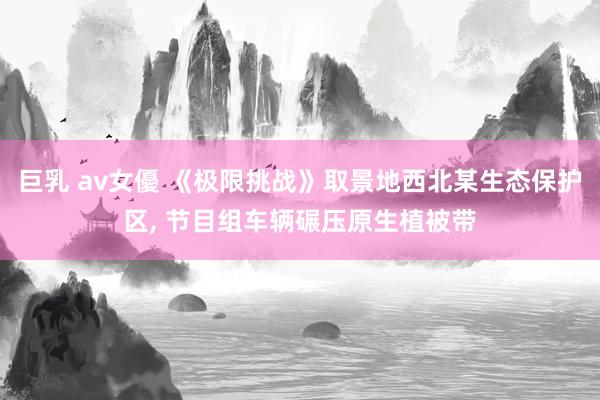 巨乳 av女優 《极限挑战》取景地西北某生态保护区， 节目组车辆碾压原生植被带