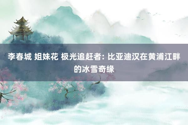 李春城 姐妹花 极光追赶者: 比亚迪汉在黄浦江畔的冰雪奇缘