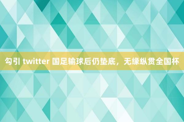 勾引 twitter 国足输球后仍垫底，无缘纵贯全国杯